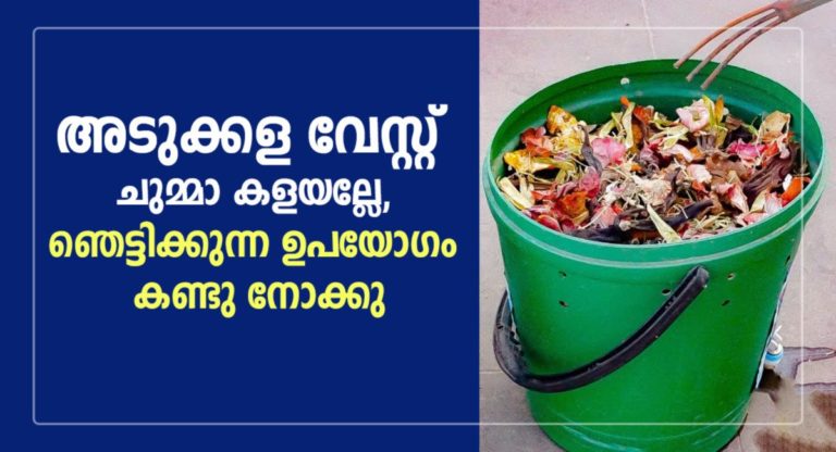 5 Ingenious Ways To Reuse Kitchen Waste