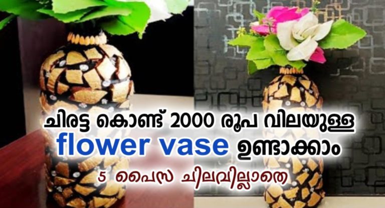What to make of coconut: bowls, flower pots and vases