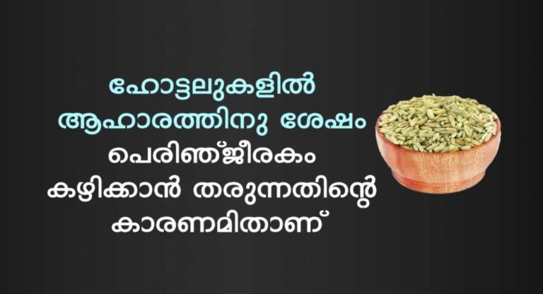 Health Benefits of Fennel Seeds
