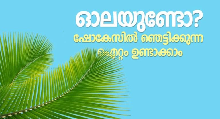 Uses of Coconut Trees