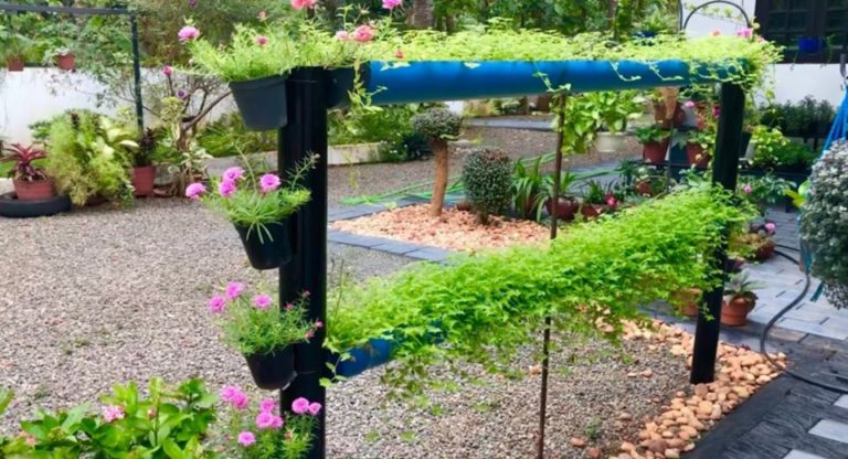 GARDEN MAKEOVER Part 1