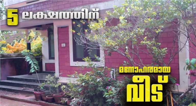 Low cost Interlock Brick houses