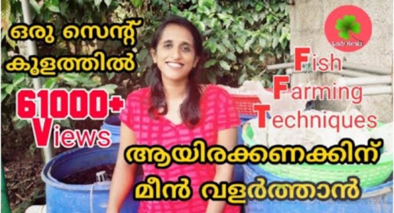 ✨ Top 10 Tips for Maximizing Production of Tilapia Fish ✨