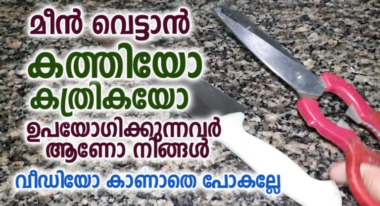 Fish Cutting Safety Tips