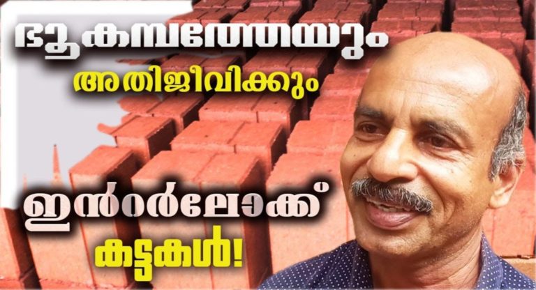 Interlock Brick Resist Earthquake