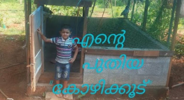How To Make A Simple Chicken Coop At Home