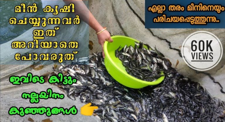 FISH FARMING