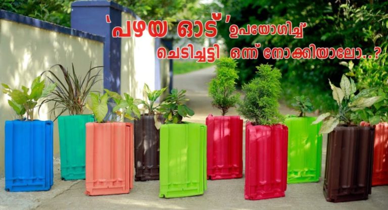 Terracotta Tree Pot Making