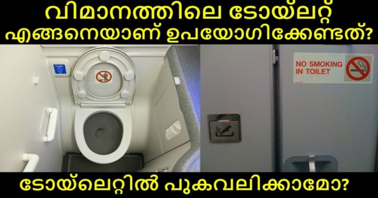 6 Things To Know Before Using An Airplane Lavatory