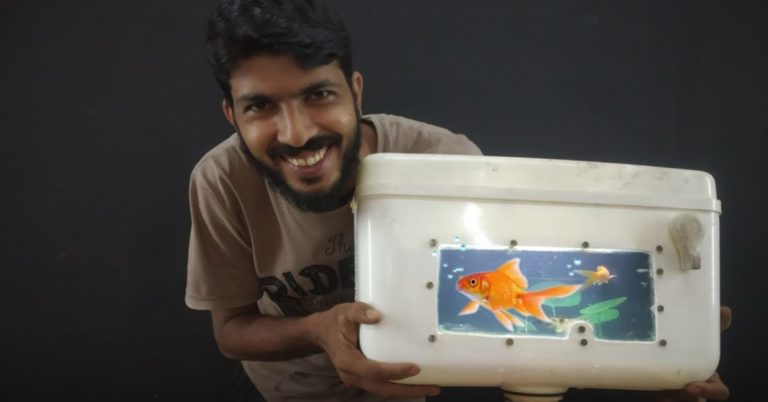 Aquarium setup: step-through-step