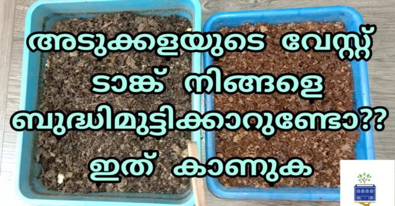 Easy Food Hacks To Remove Bad Smell From Home