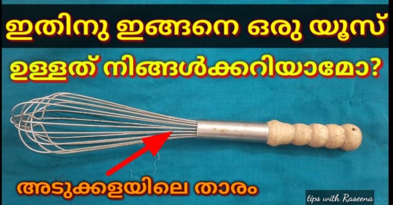 Different Types of Whisks