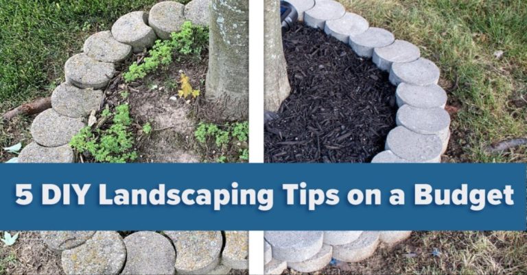 5 DIY Landscaping Tips on a Budge