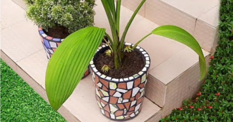 Flower pot making with broken tiles