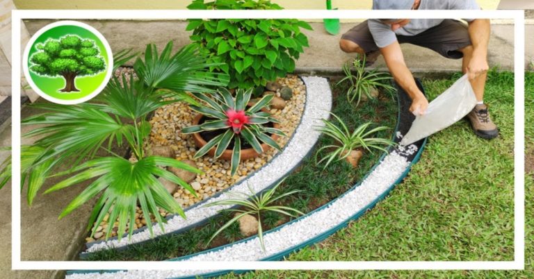 DIY – GARDEN DECORATION sixteen / EXOTIC GARDEN WITH STONES
