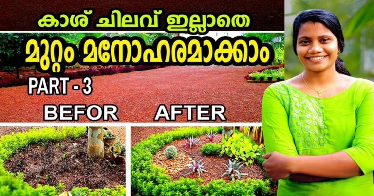 AMAZING FOR YOUR GARDEN