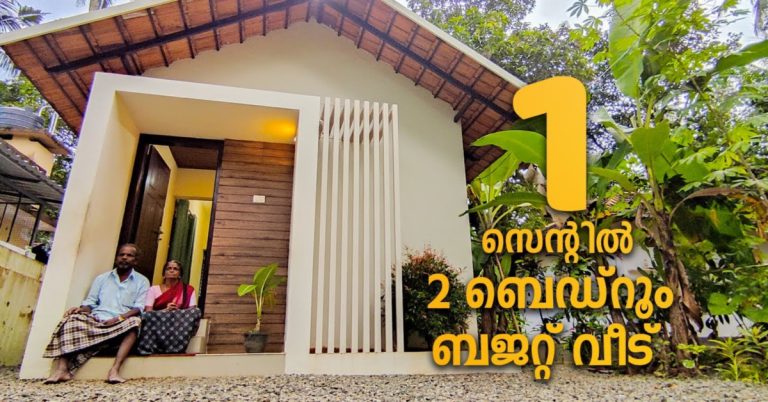 Low Budget House